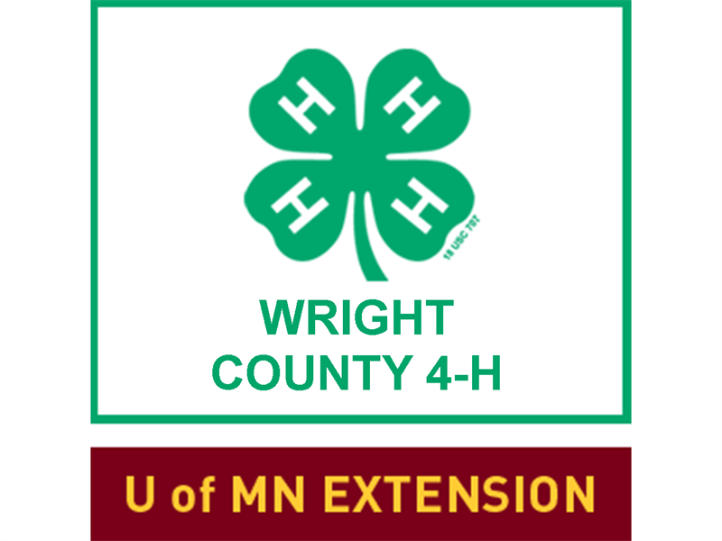 Logo for 2024 Wright County Fair