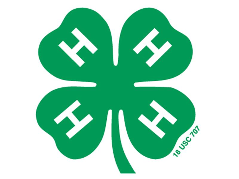 Logo for 2024 South Dakota 4-H Dog Shows