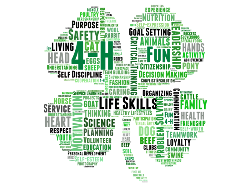 Logo for 2025 Brookings County 4-H